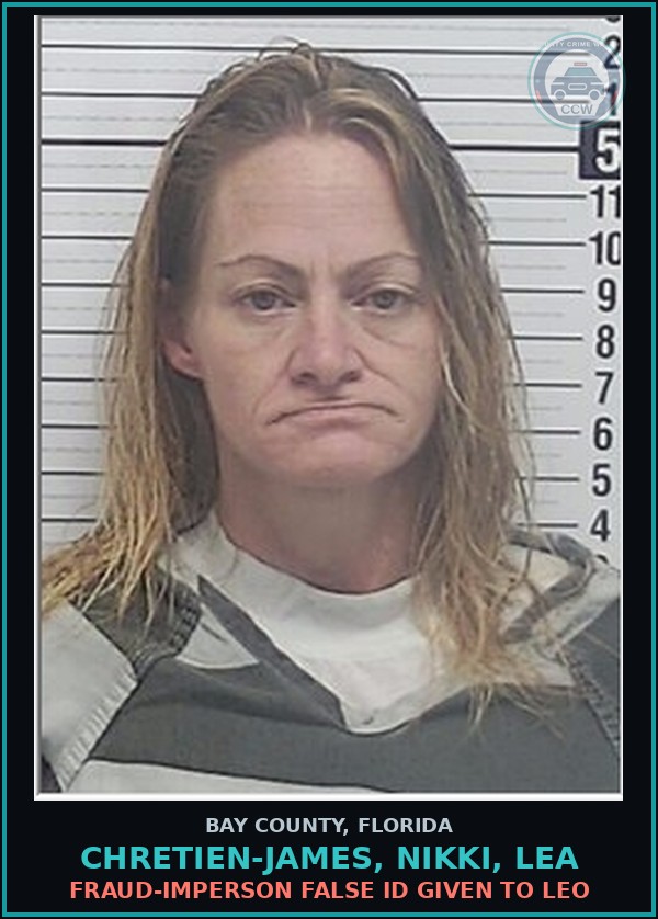 Booking mugshot of CHRETIEN-JAMES, NIKKI, LEA in Bay County