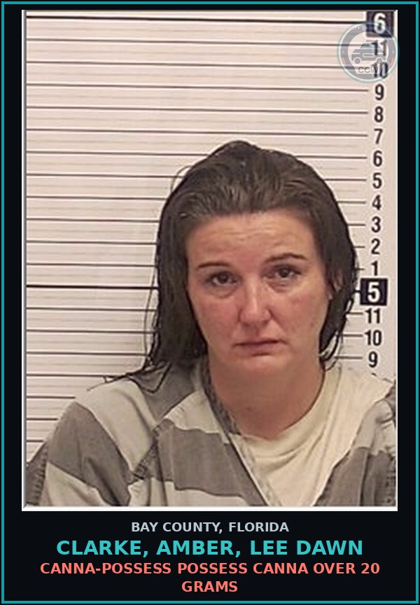 Booking mugshot of CLARKE, AMBER, LEE DAWN in Bay County