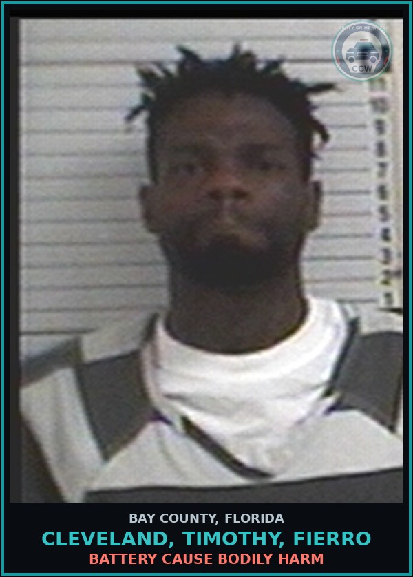 Booking mugshot of CLEVELAND, TIMOTHY, FIERRO in Bay County