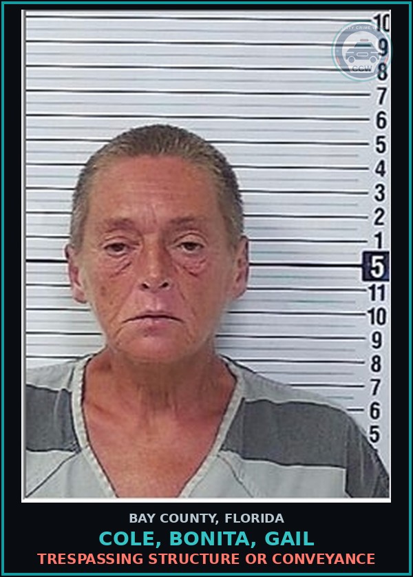 Booking mugshot of COLE, BONITA, GAIL in Bay County