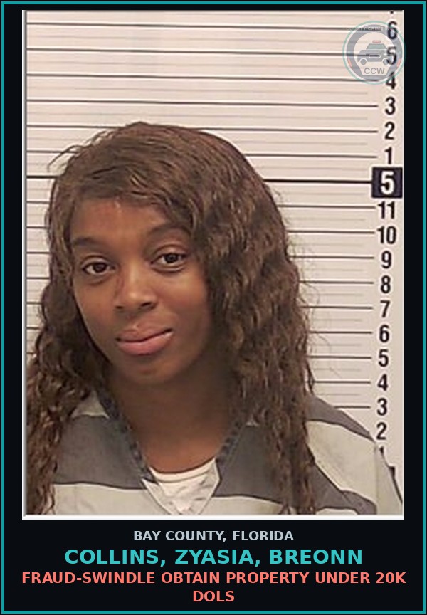 Booking mugshot of COLLINS, ZYASIA, BREONN in Bay County