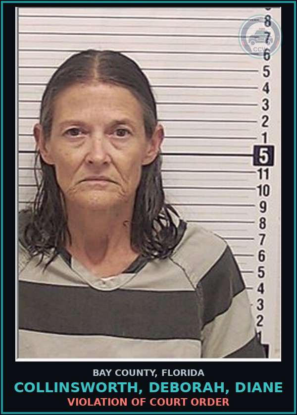 Booking mugshot of COLLINSWORTH, DEBORAH, DIANE in Bay County