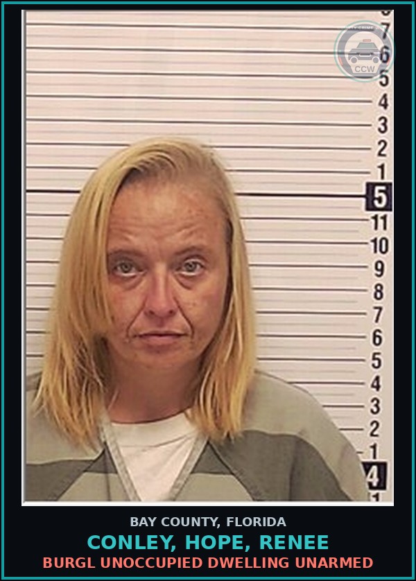 Booking mugshot of CONLEY, HOPE, RENEE in Bay County