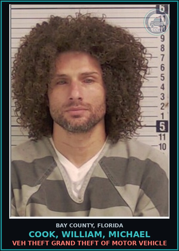 Booking mugshot of COOK, WILLIAM, MICHAEL in Bay County