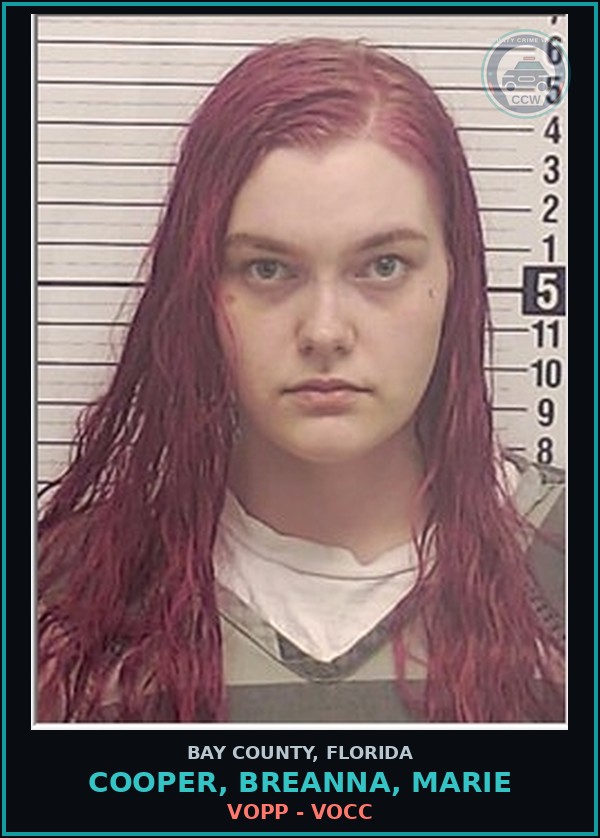 Booking mugshot of COOPER, BREANNA, MARIE in Bay County