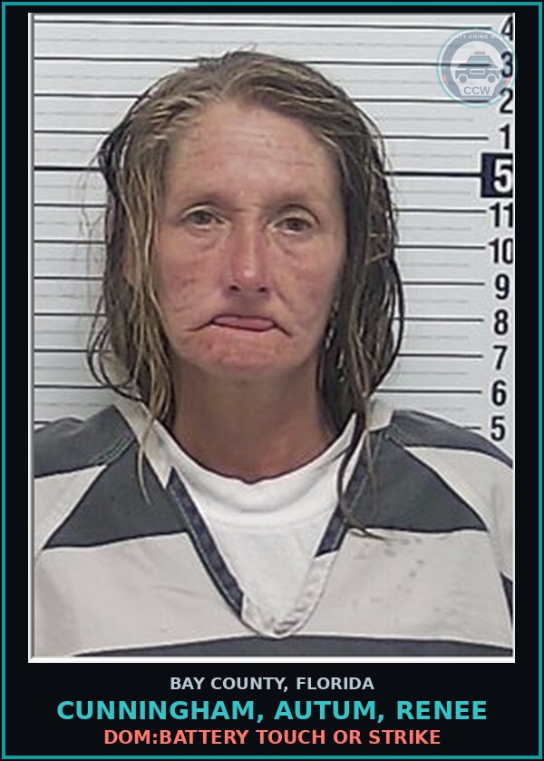 Booking mugshot of CUNNINGHAM, AUTUM, RENEE in Bay County