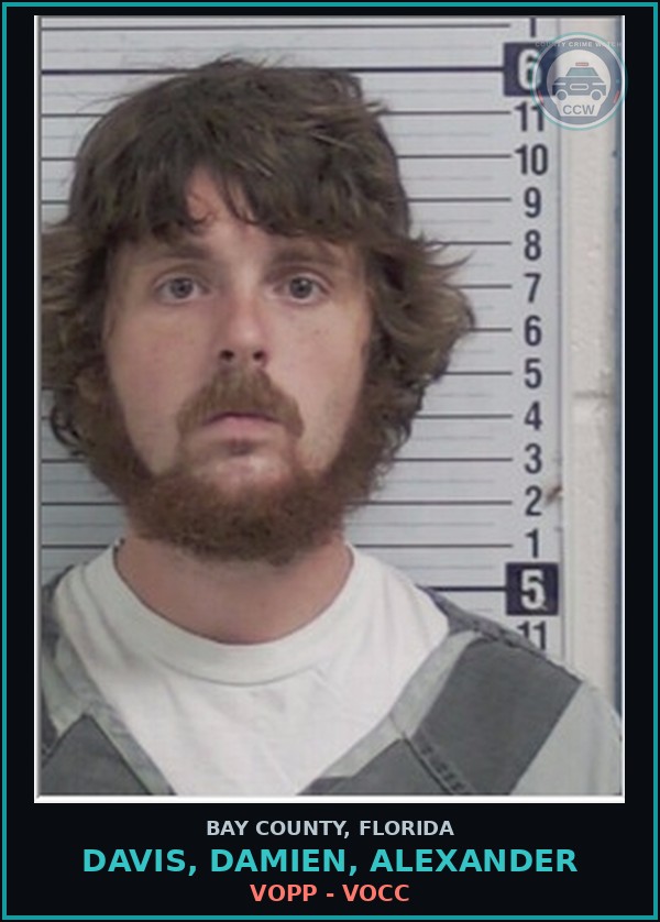Booking mugshot of DAVIS, DAMIEN, ALEXANDER in Bay County