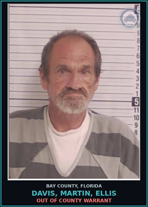 Booking mugshot of DAVIS, MARTIN, ELLIS in Bay County