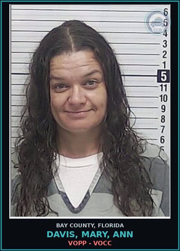 Booking mugshot of DAVIS, MARY, ANN in Bay County