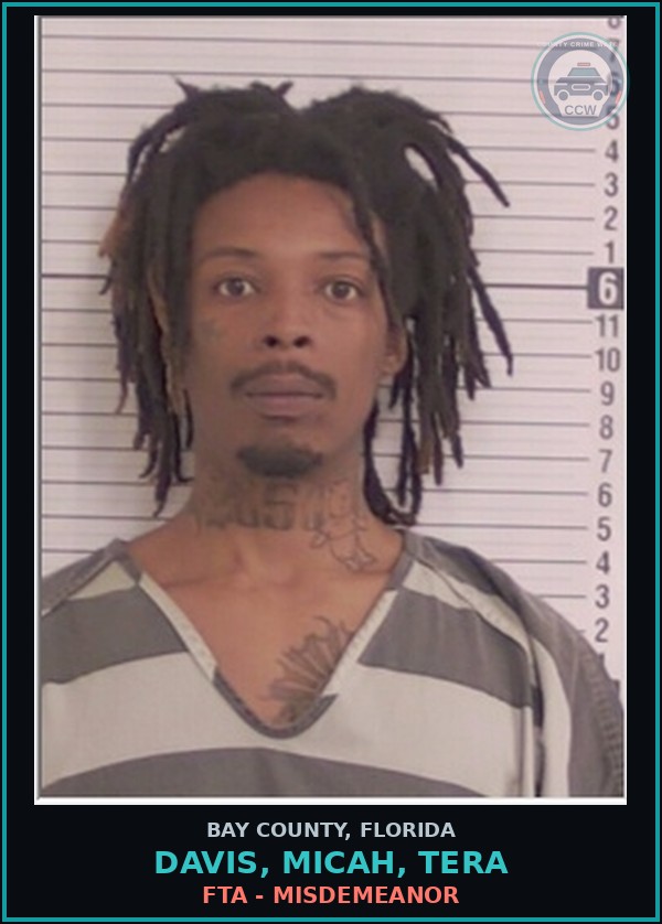 Booking mugshot of DAVIS, MICAH, TERA in Bay County