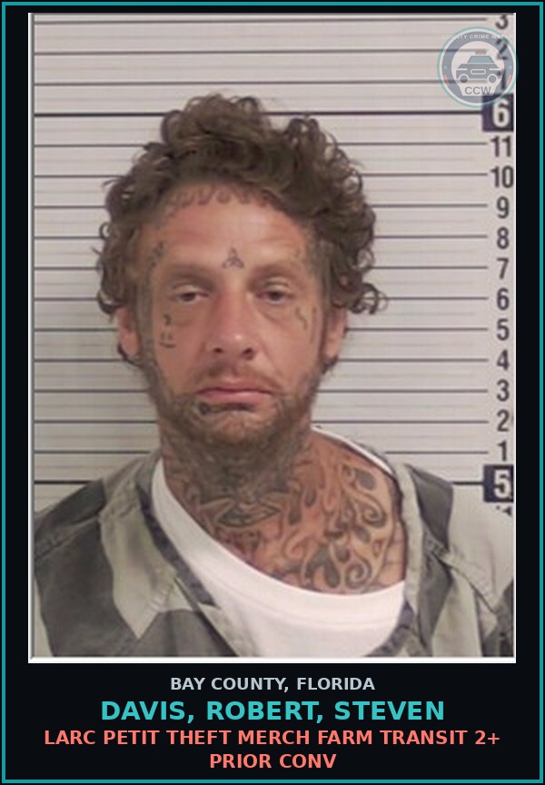 Booking mugshot of DAVIS, ROBERT, STEVEN in Bay County