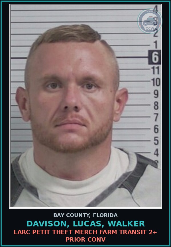 Booking mugshot of DAVISON, LUCAS, WALKER in Bay County