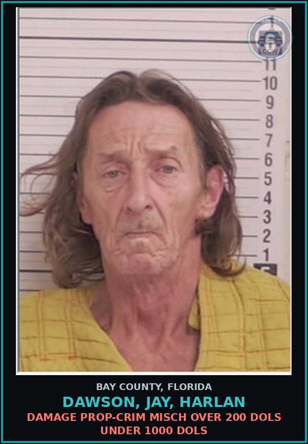 Booking mugshot of DAWSON, JAY, HARLAN in Bay County