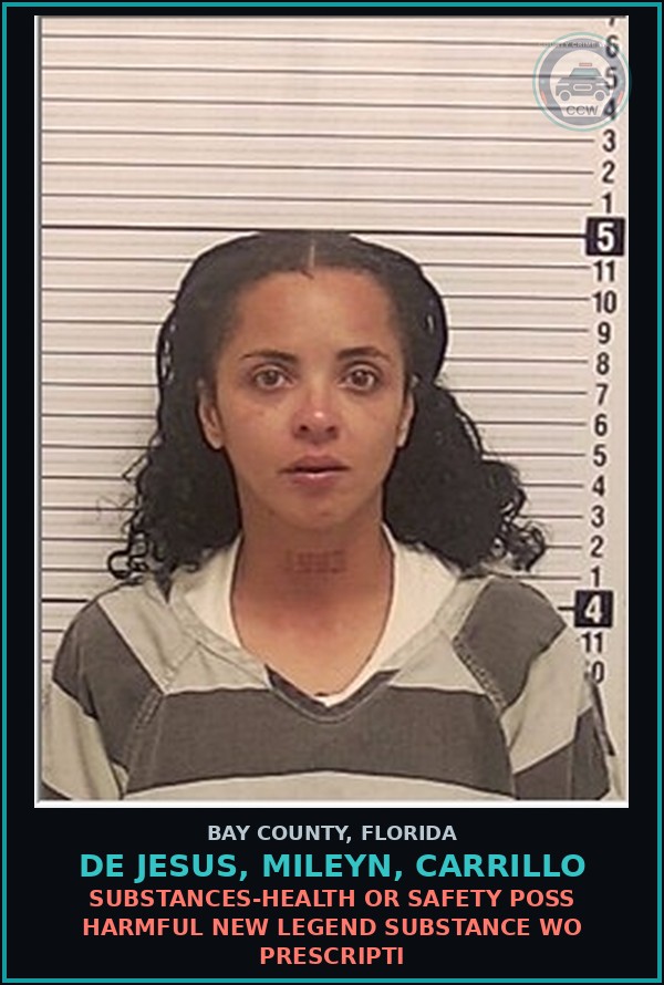Booking mugshot of DE JESUS, MILEYN, CARRILLO in Bay County