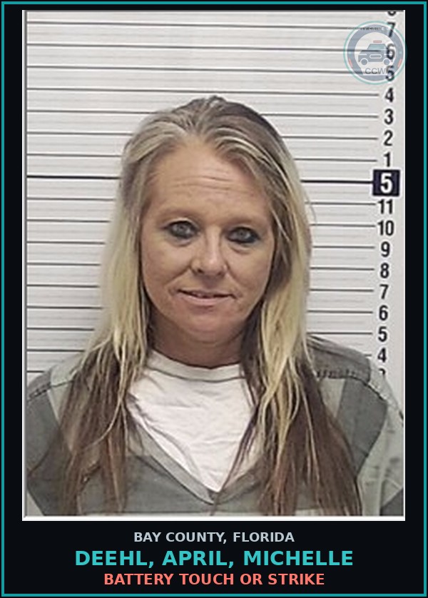 Booking mugshot of DEEHL, APRIL, MICHELLE in Bay County