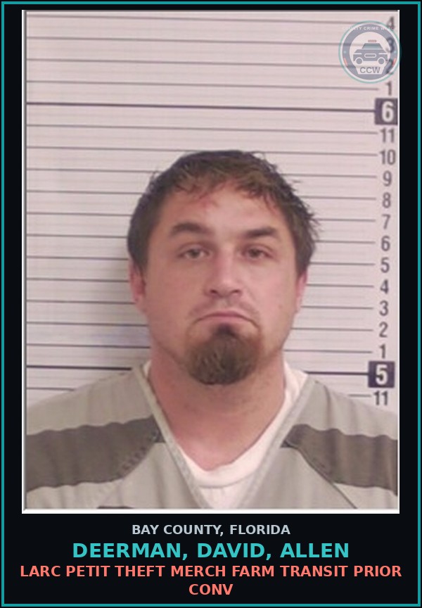 Booking mugshot of DEERMAN, DAVID, ALLEN in Bay County