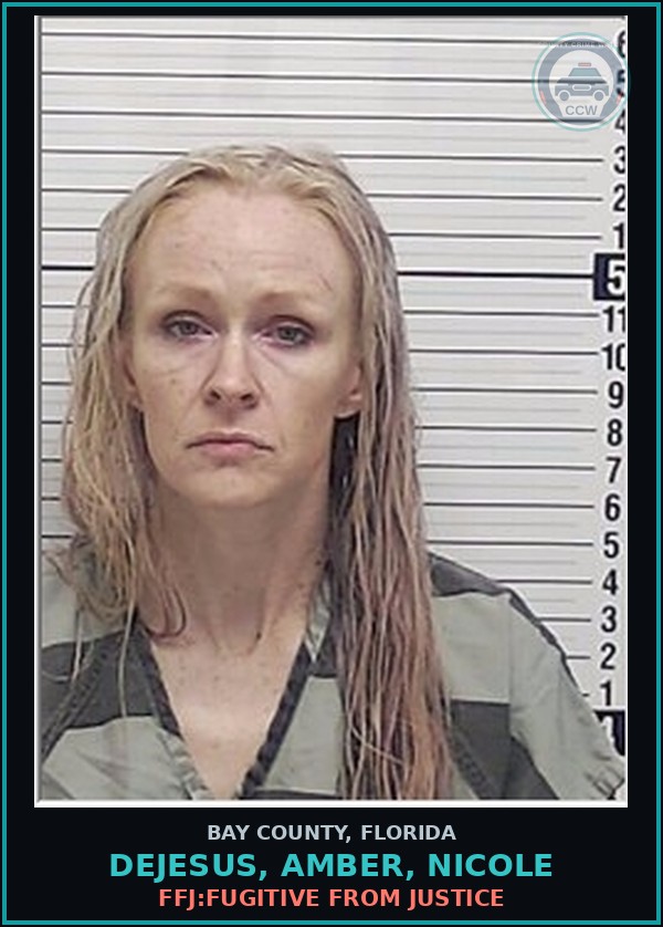 Booking mugshot of DEJESUS, AMBER, NICOLE in Bay County