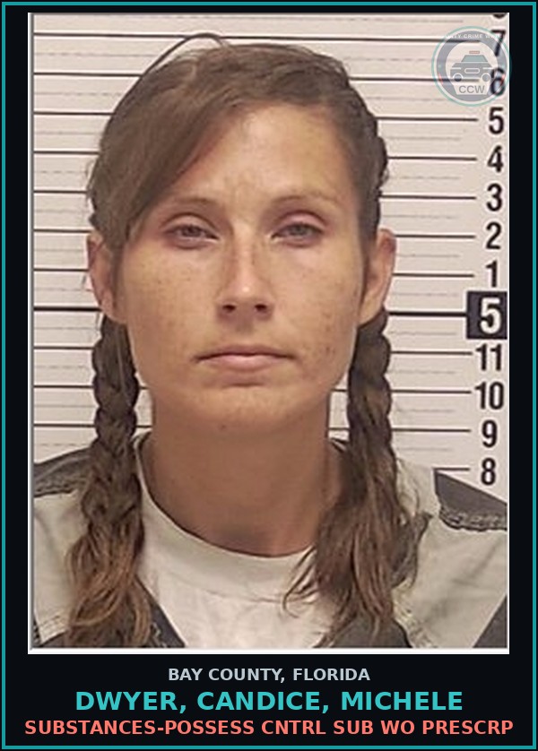 Booking mugshot of DWYER, CANDICE, MICHELE in Bay County