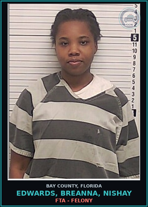 Booking mugshot of EDWARDS, BREANNA, NISHAY in Bay County