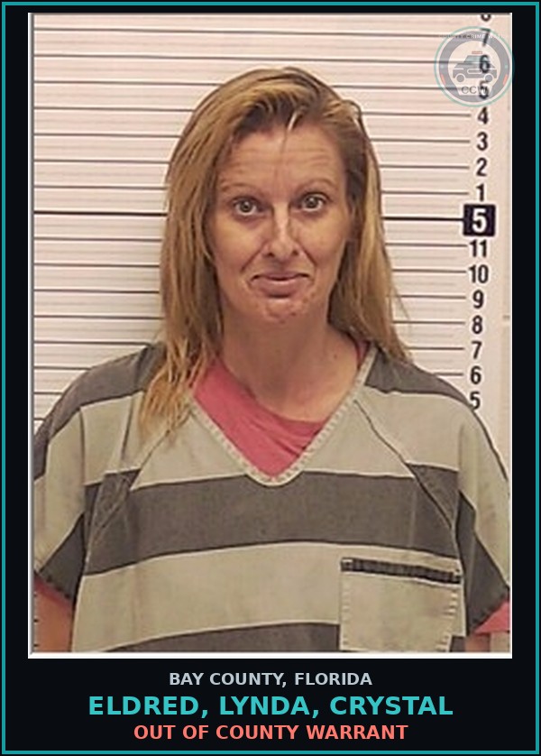 Booking mugshot of ELDRED, LYNDA, CRYSTAL in Bay County