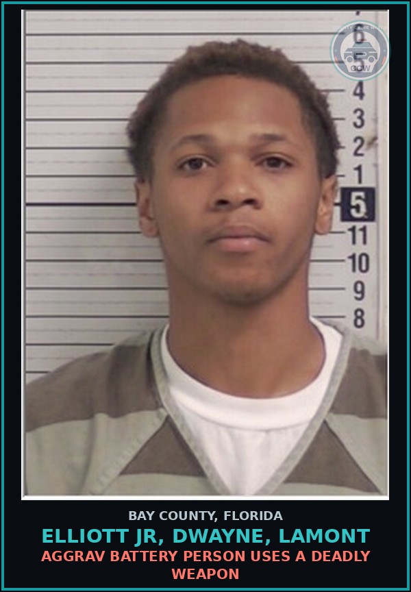 Booking mugshot of ELLIOTT JR, DWAYNE, LAMONT in Bay County
