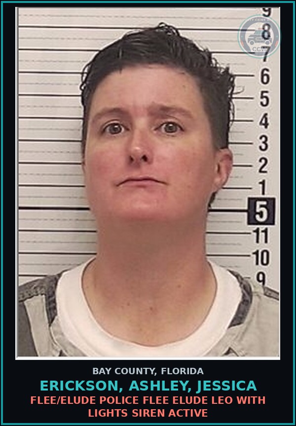 Booking mugshot of ERICKSON, ASHLEY, JESSICA in Bay County