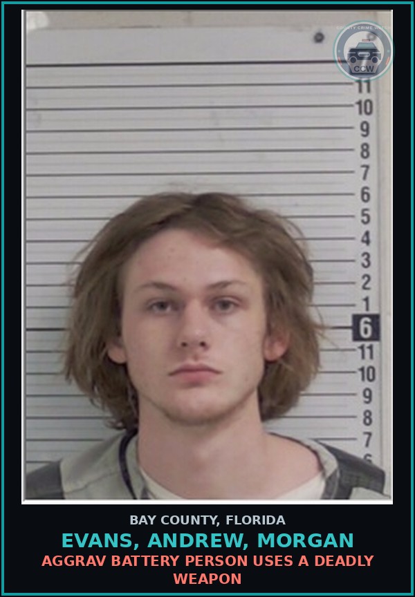 Booking mugshot of EVANS, ANDREW, MORGAN in Bay County