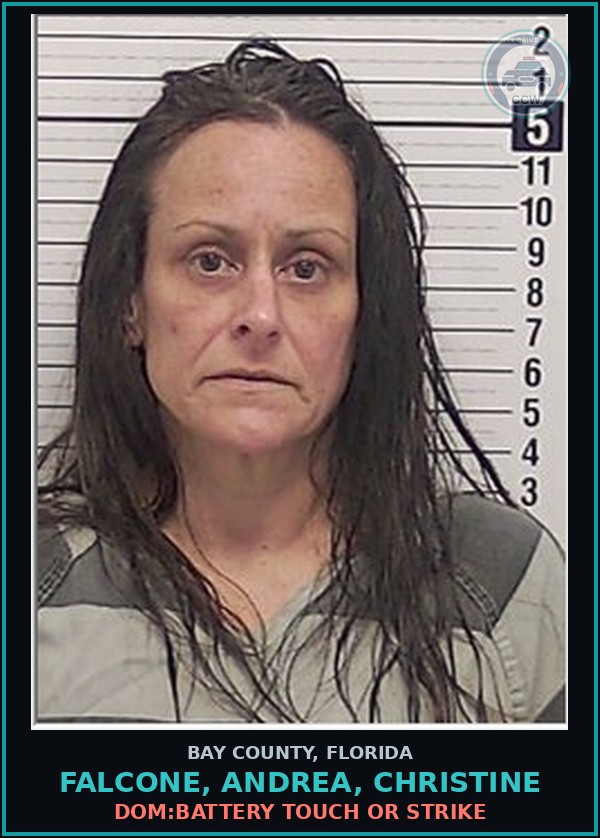 Booking mugshot of FALCONE, ANDREA, CHRISTINE in Bay County