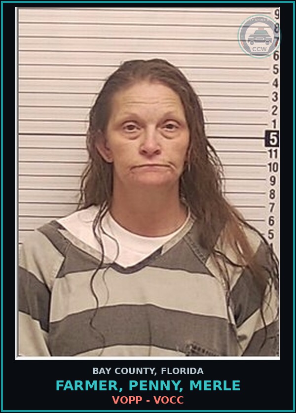 Booking mugshot of FARMER, PENNY, MERLE in Bay County