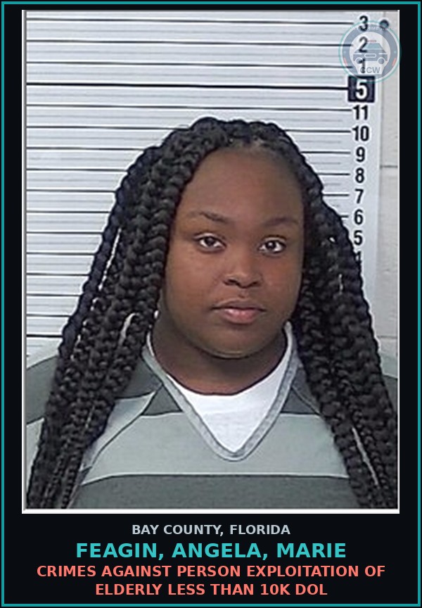 Booking mugshot of FEAGIN, ANGELA, MARIE in Bay County