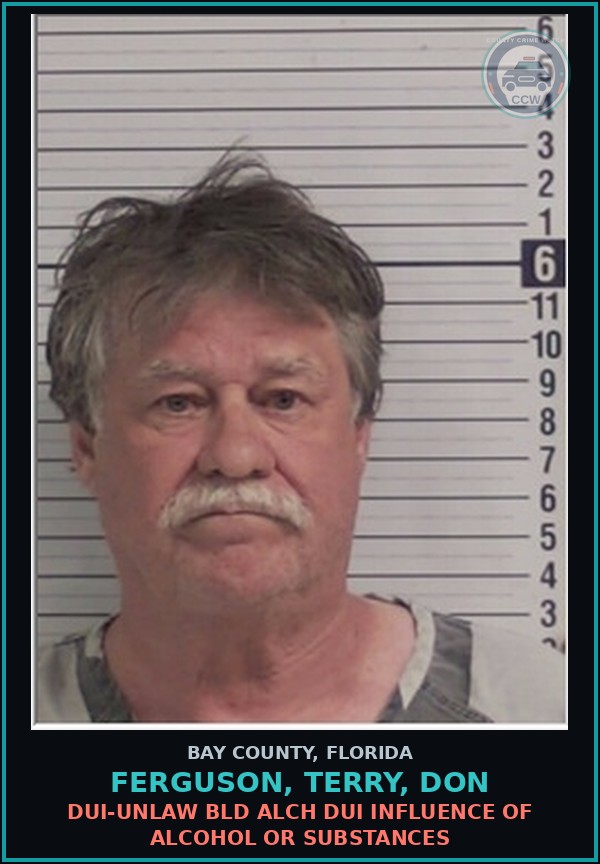 Booking mugshot of FERGUSON, TERRY, DON in Bay County