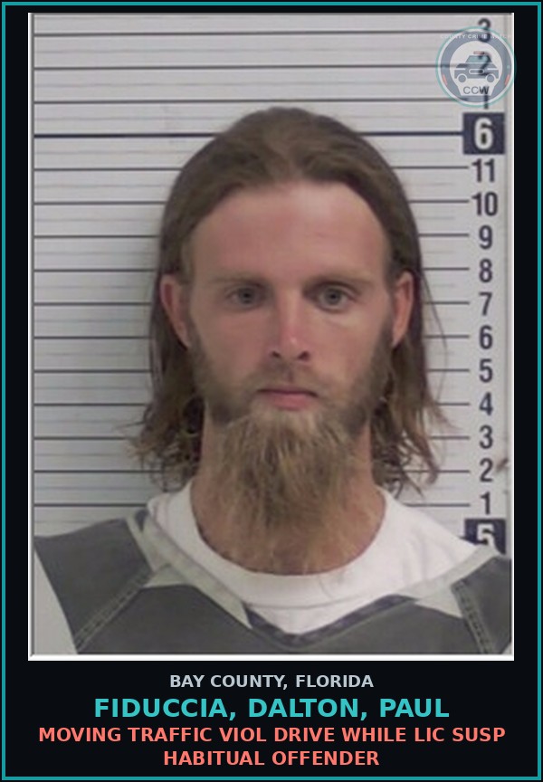 Booking mugshot of FIDUCCIA, DALTON, PAUL in Bay County
