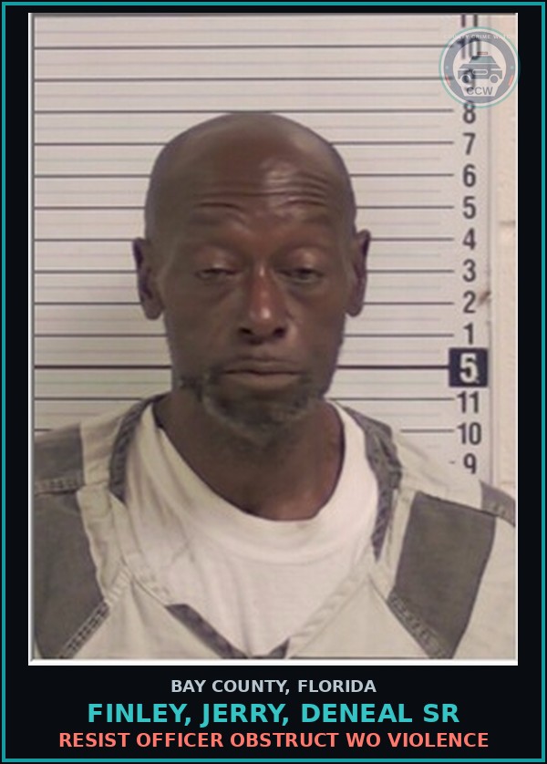 Booking mugshot of FINLEY, JERRY, DENEAL SR in Bay County