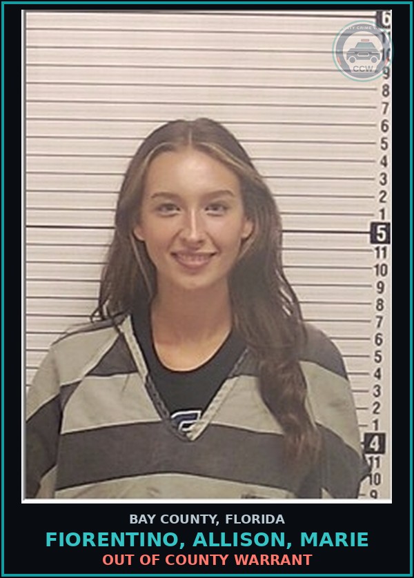 Booking mugshot of FIORENTINO, ALLISON, MARIE in Bay County