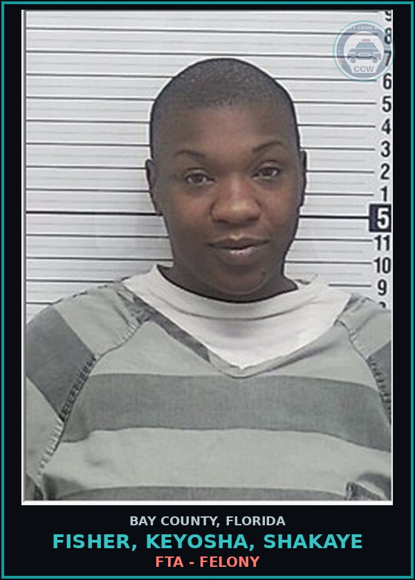 Booking mugshot of FISHER, KEYOSHA, SHAKAYE in Bay County