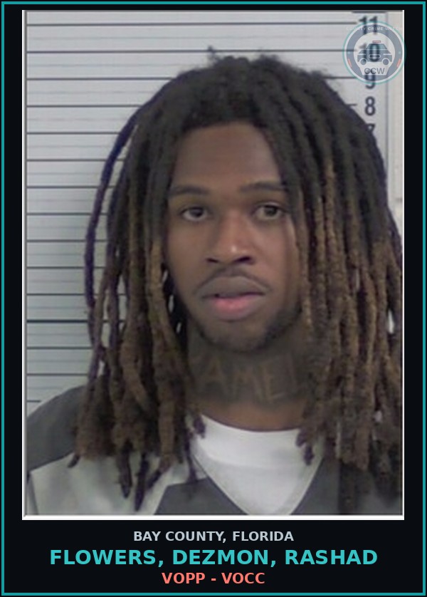 Booking mugshot of FLOWERS, DEZMON, RASHAD in Bay County
