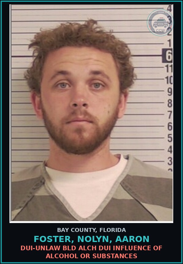 Booking mugshot of FOSTER, NOLYN, AARON in Bay County