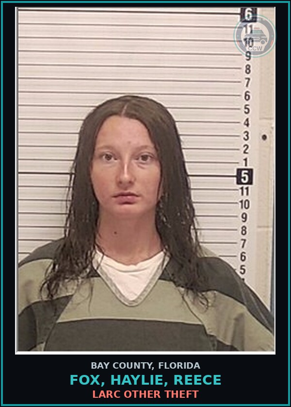 Booking mugshot of FOX, HAYLIE, REECE in Bay County