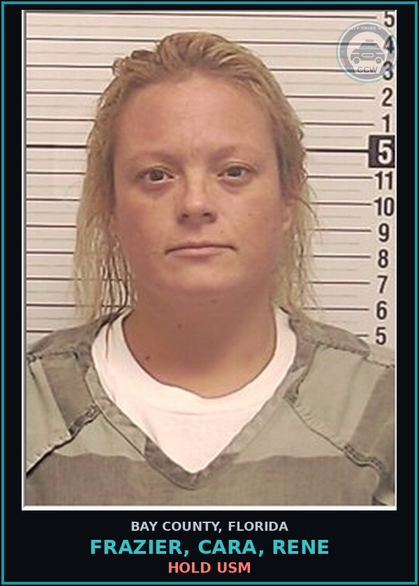 Booking mugshot of FRAZIER, CARA, RENE in Bay County