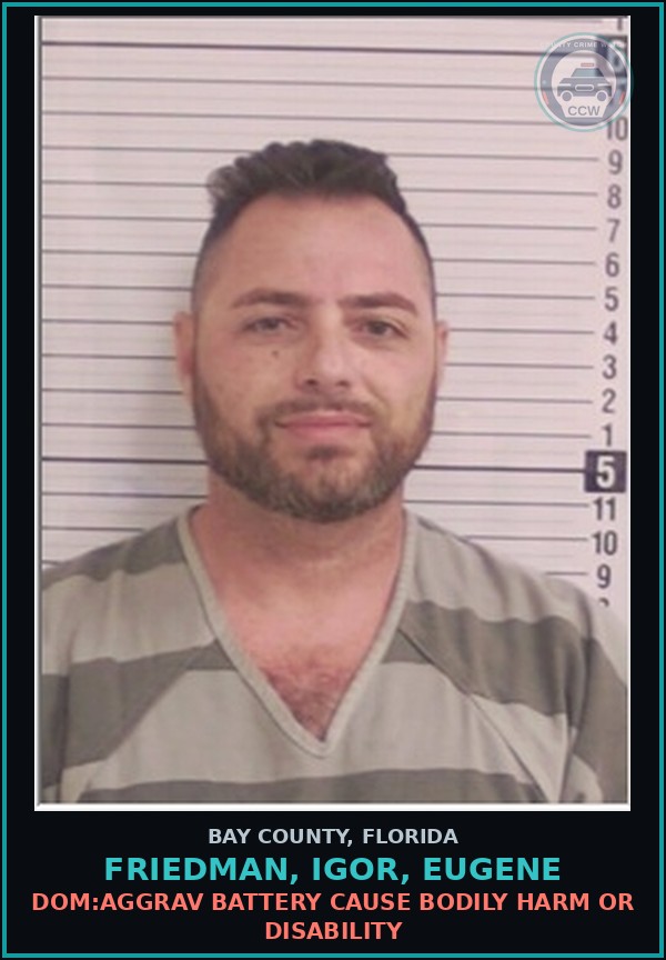 Booking mugshot of FRIEDMAN, IGOR, EUGENE in Bay County