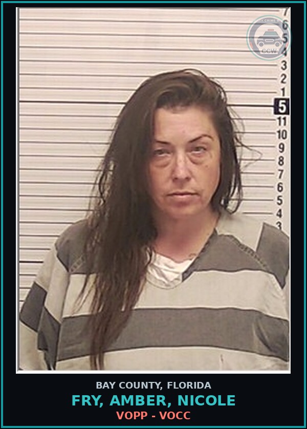 Booking mugshot of FRY, AMBER, NICOLE in Bay County