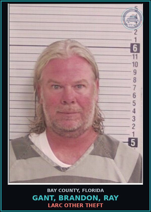 Booking mugshot of GANT, BRANDON, RAY in Bay County