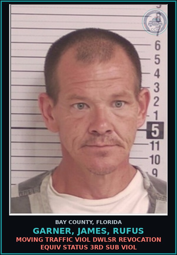 Booking mugshot of GARNER, JAMES, RUFUS in Bay County