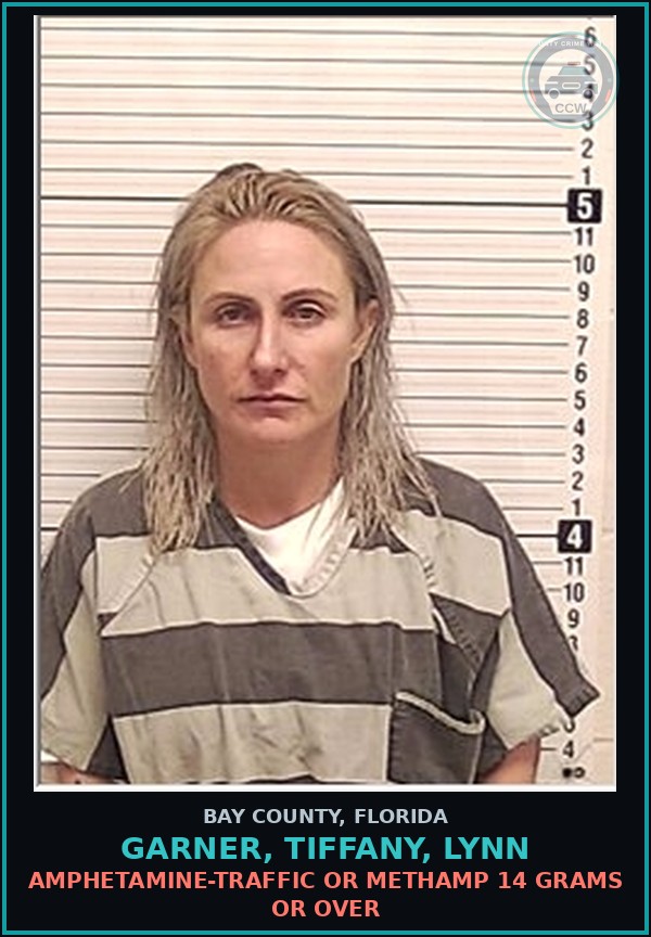 Booking mugshot of GARNER, TIFFANY, LYNN in Bay County