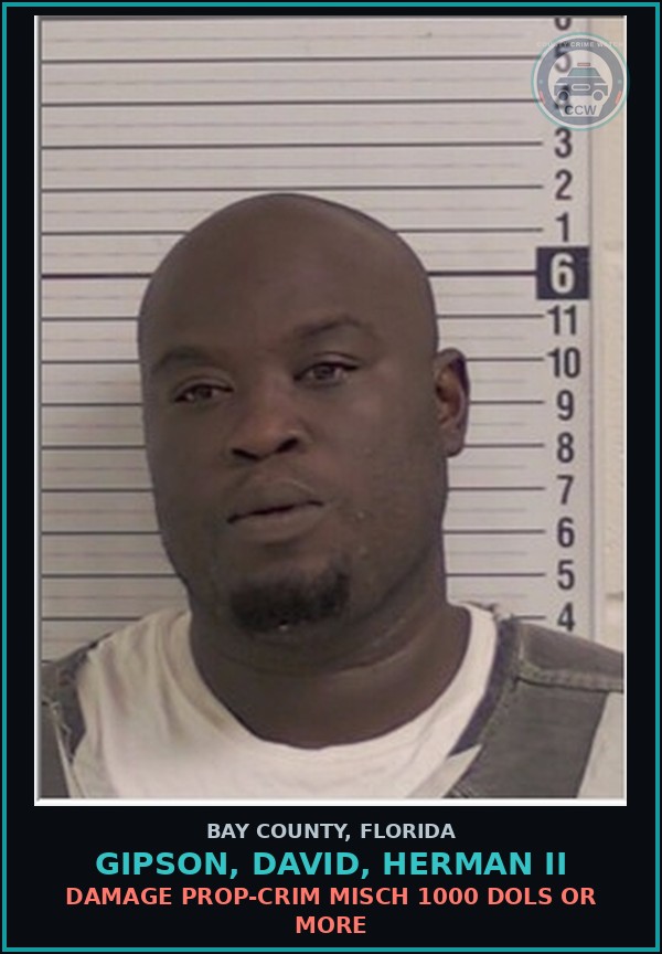 Booking mugshot of GIPSON, DAVID, HERMAN II in Bay County