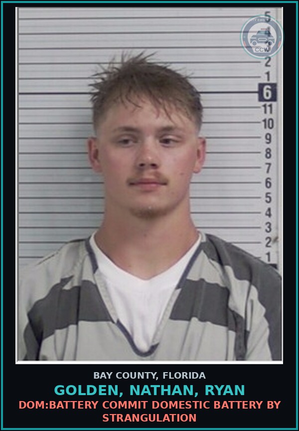 Booking mugshot of GOLDEN, NATHAN, RYAN in Bay County