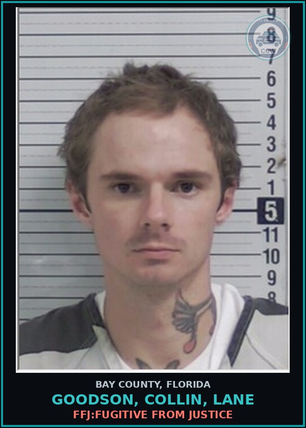 Booking mugshot of GOODSON, COLLIN, LANE in Bay County