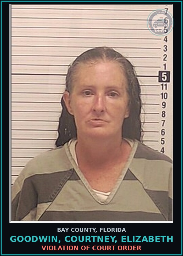 Booking mugshot of GOODWIN, COURTNEY, ELIZABETH in Bay County