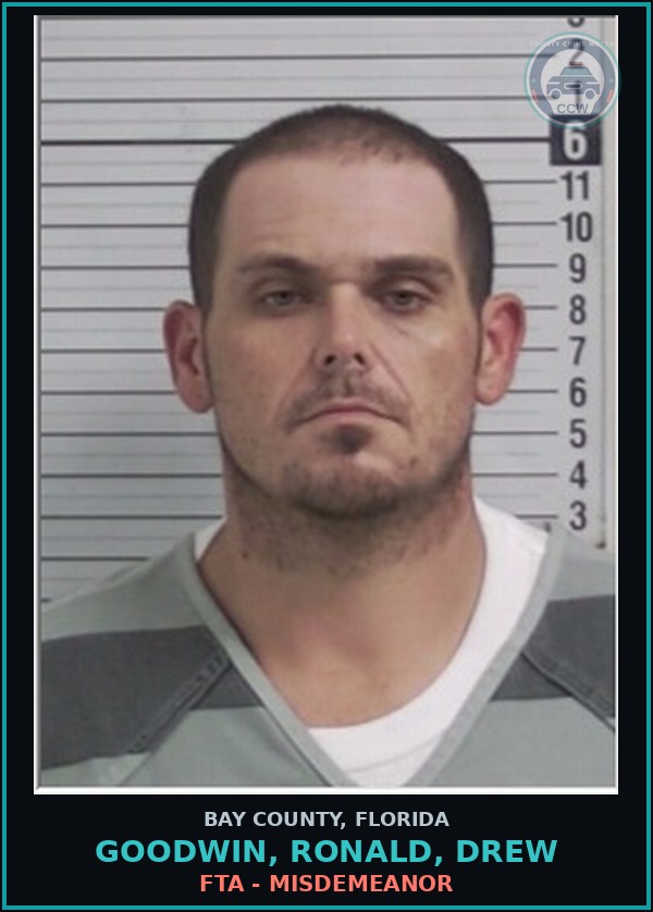 Booking mugshot of GOODWIN, RONALD, DREW in Bay County