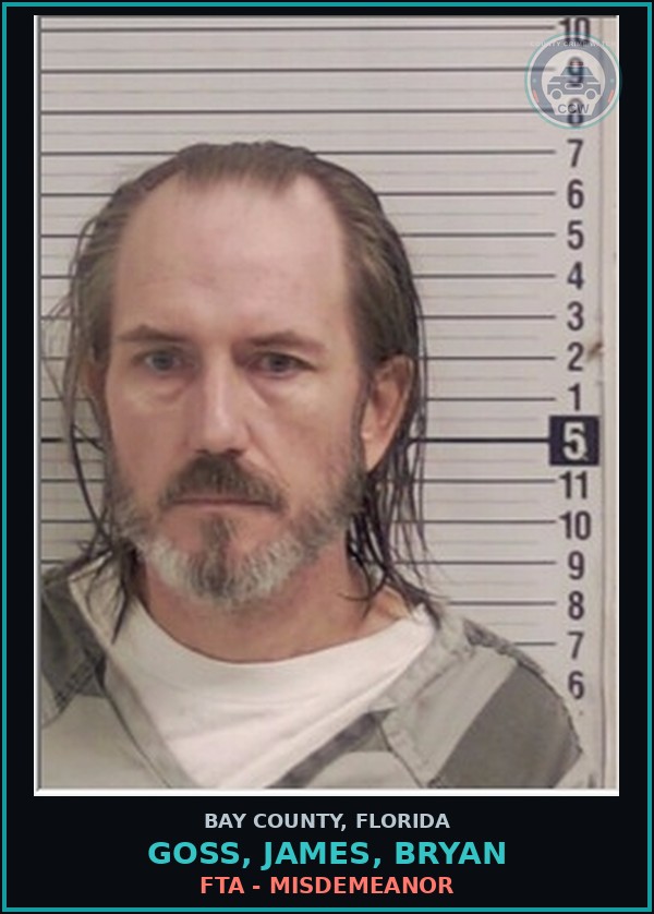 Booking mugshot of GOSS, JAMES, BRYAN in Bay County
